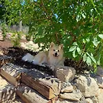 Naturauszeit - Tinyhaeuser Im Weinviertel Casa de Férias