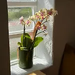 Casa de Férias Naturauszeit - Tinyhaeuser Im Weinviertel Kleinstelzendorf