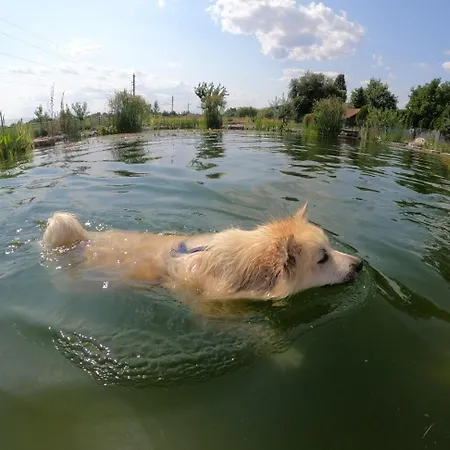 Naturauszeit - Tinyhaeuser Im Weinviertel Holiday home
