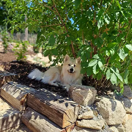 Naturauszeit - Tinyhouse Im Weinviertel Dom wakacyjny