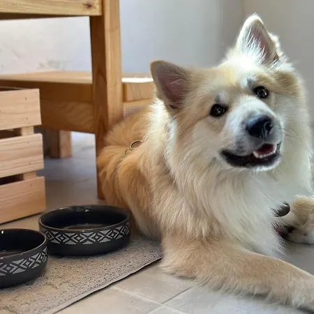 Holiday home Naturauszeit - Tinyhaeuser Im Weinviertel *