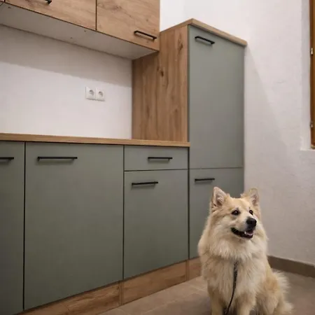 Naturauszeit - Tinyhaeuser Im Weinviertel Semesterbostad *
