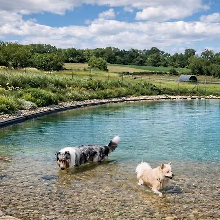 Vakantiehuis Naturauszeit - Tinyhaeuser Im Weinviertel Kleinstelzendorf
