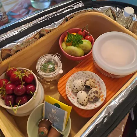 Naturauszeit - Tinyhaeuser Im Weinviertel Kleinstelzendorf