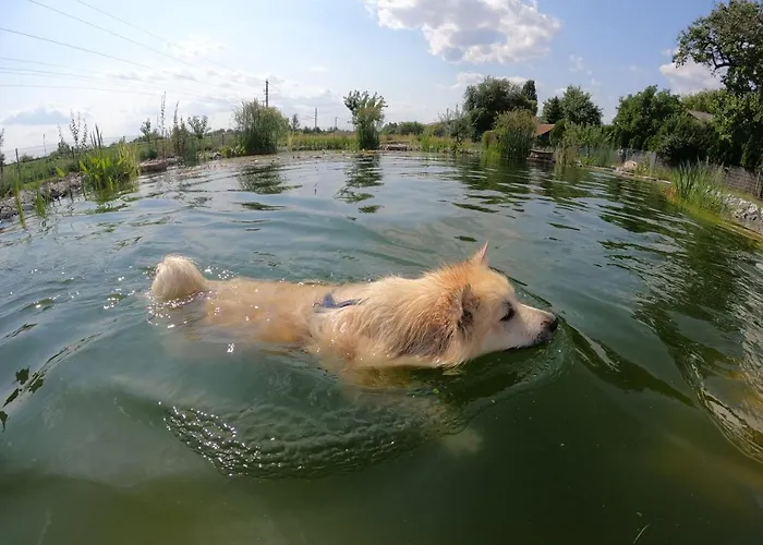 Naturauszeit - Tinyhaeuser Im Weinviertel Holiday home