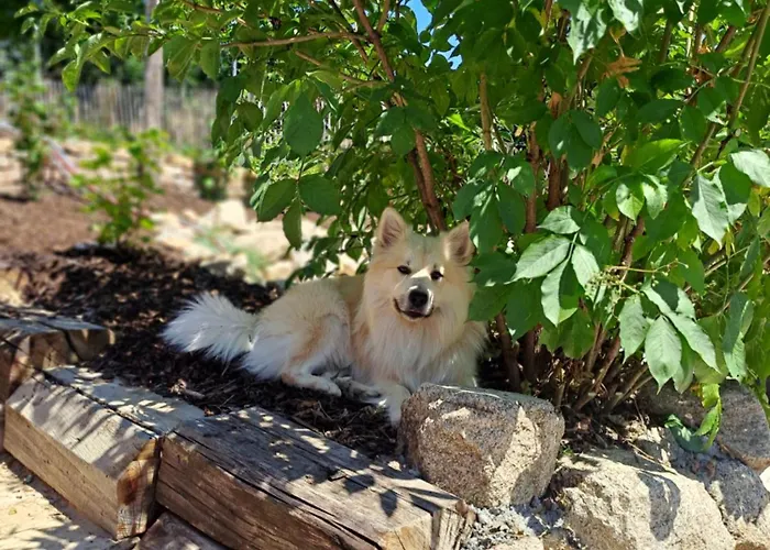 Naturauszeit - Tinyhaeuser Im Weinviertel Holiday home