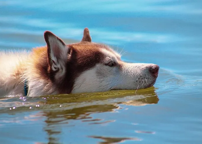 Naturauszeit - Tinyhaeuser Im Weinviertel * Kleinstelzendorf