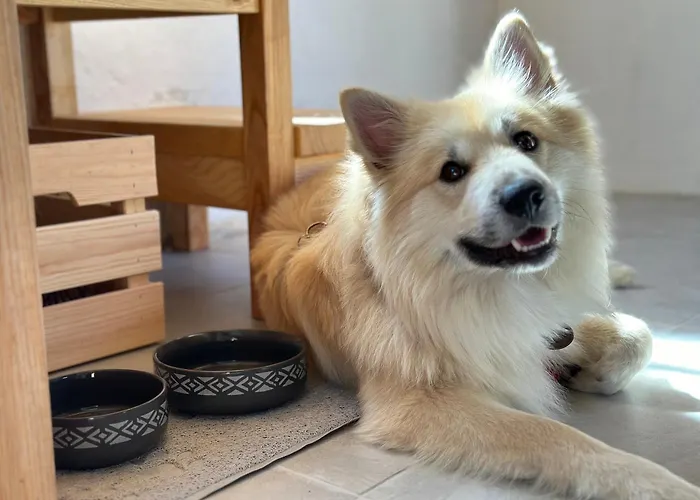 Holiday home Naturauszeit - Tinyhaeuser Im Weinviertel *