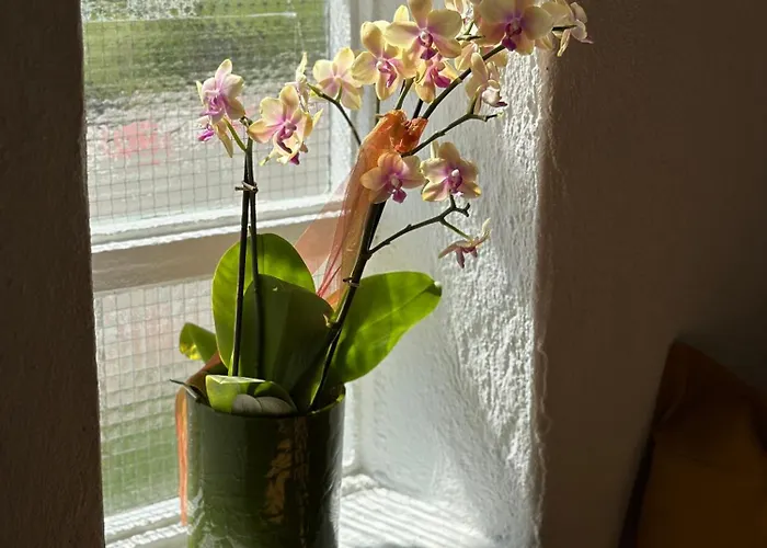 Holiday home Naturauszeit - Tinyhaeuser Im Weinviertel Kleinstelzendorf