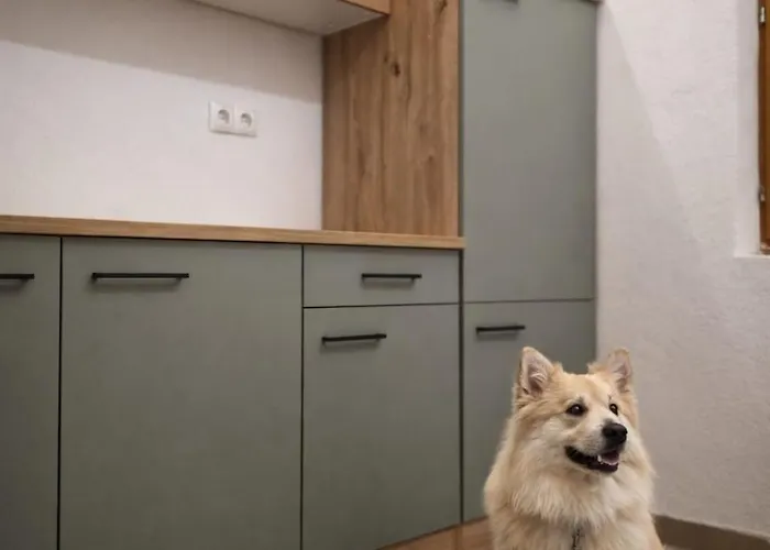 Naturauszeit - Tinyhaeuser Im Weinviertel Holiday home *